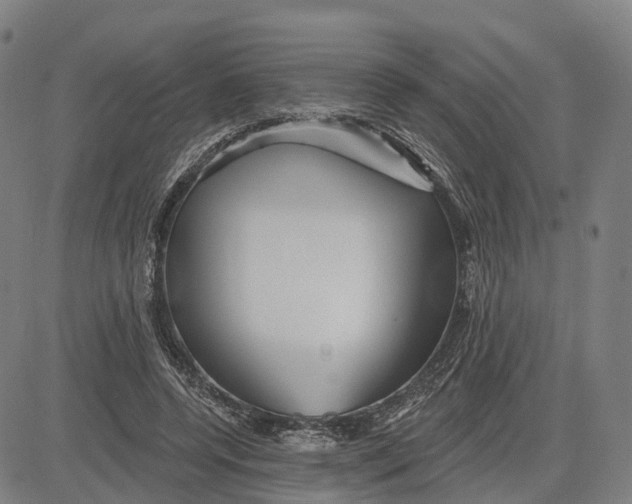 X0000081420544200702021630