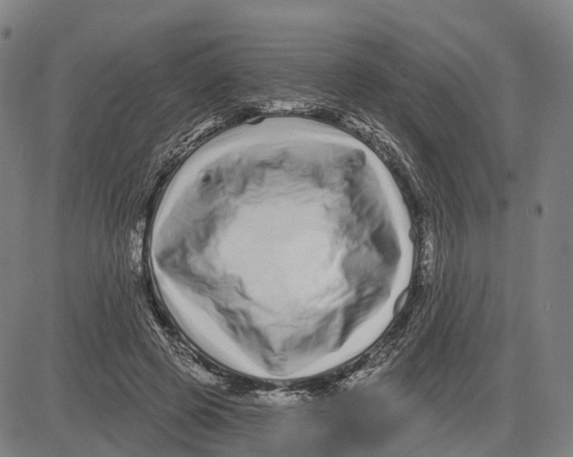 X0000081420545200702021630