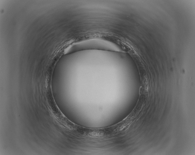 X0000081420546200702021630