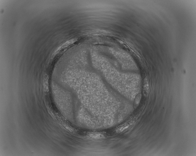 X0000081420547200702021630