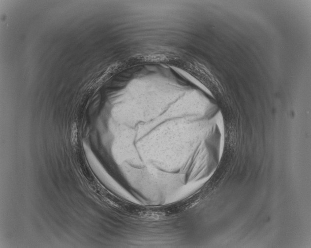 X0000081420549200702021630