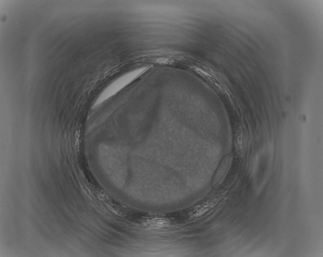 X0000081420551200702021630