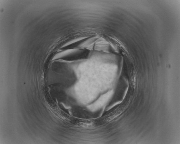 X0000081420552200702021630