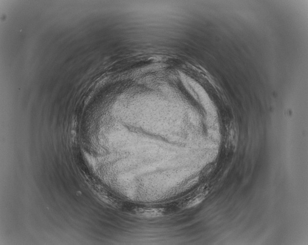 X0000081420553200702021630