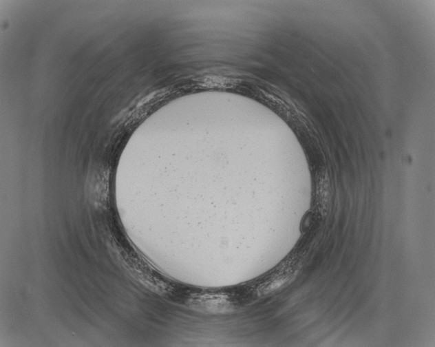 X0000081420554200702021630