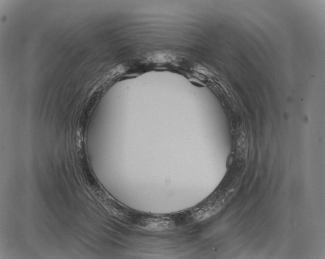 X0000081420555200702021630