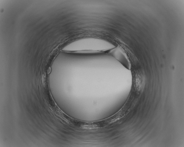 X0000081420556200702021630