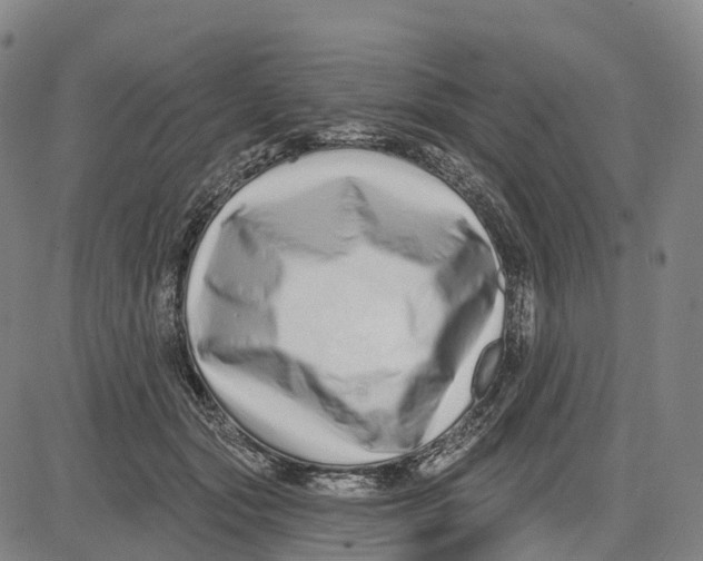 X0000081420557200702021630