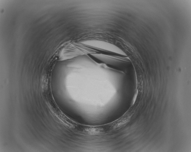 X0000081420558200702021630