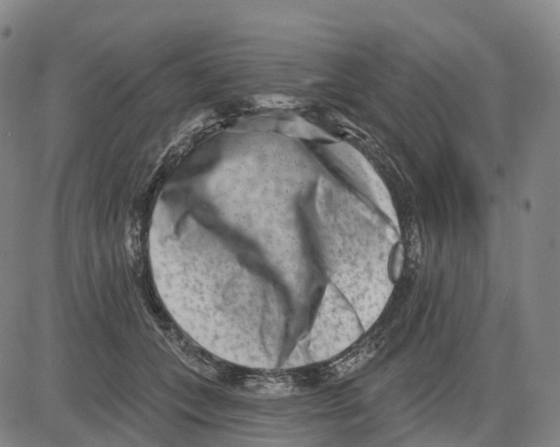 X0000081420559200702021630