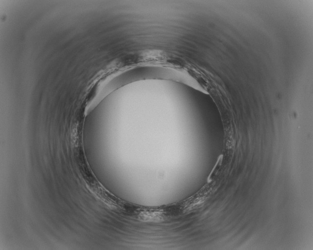 X0000081420560200702021630