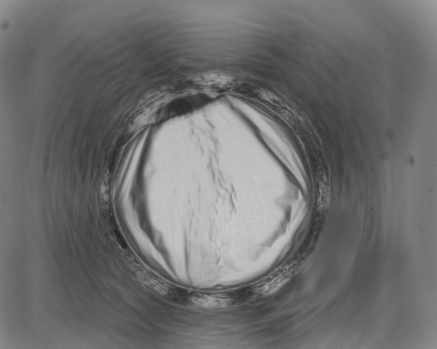 X0000081420561200702021630