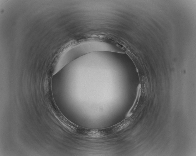 X0000081420562200702021630