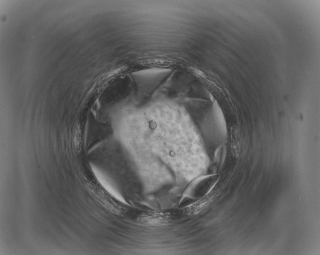 X0000081420563200702021630