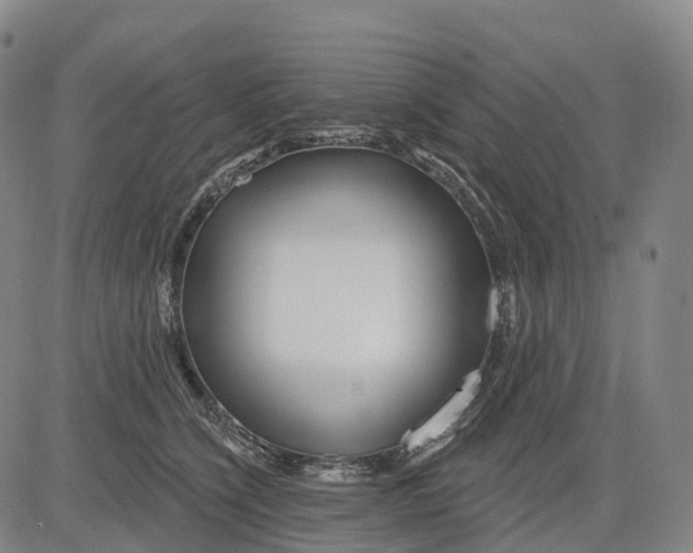 X0000081420564200702021630