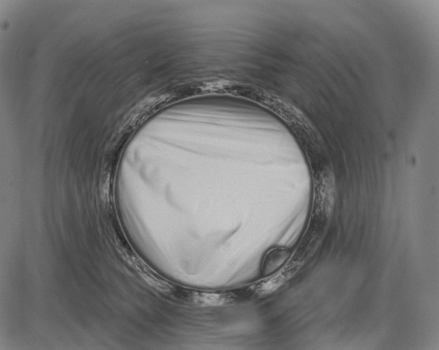 X0000081420565200702021630