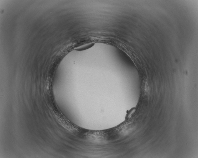 X0000081420567200702021630