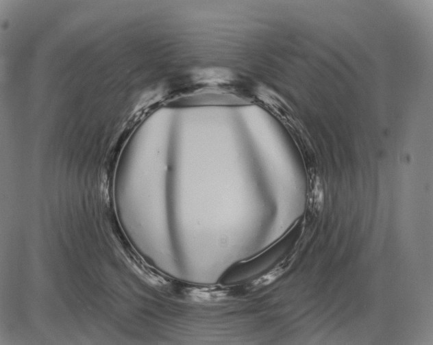 X0000081420568200702021630