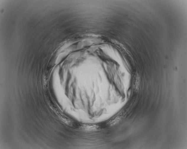 X0000081420569200702021630