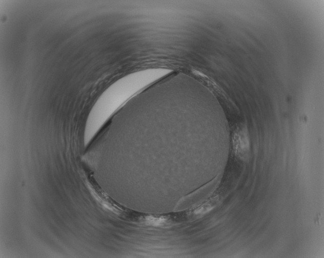 X0000081420570200702021630