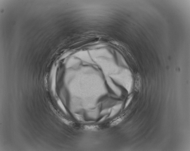 X0000081420573200702021630