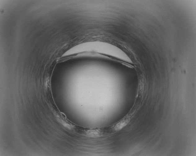 X0000081420574200702021630