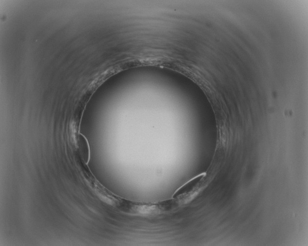 X0000081420575200702021630