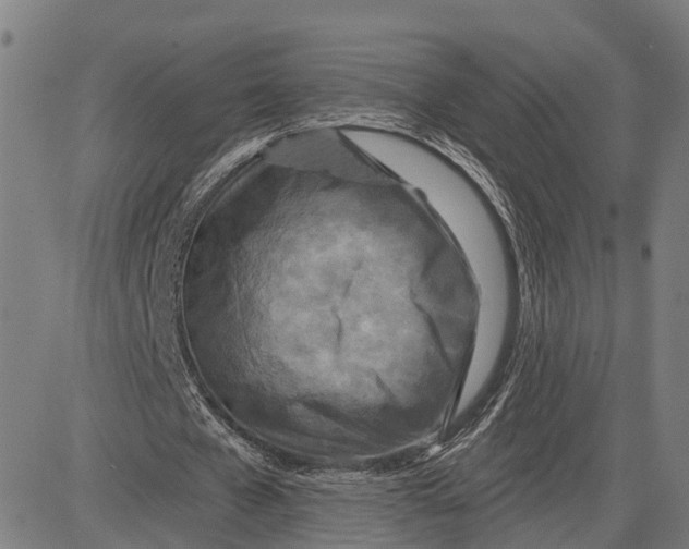 X0000081420577200702021630