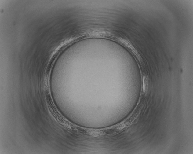 X0000081420579200702021630