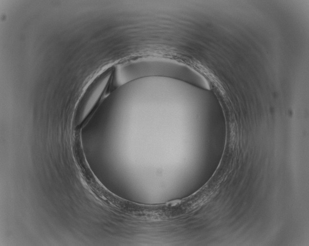 X0000081420580200702021630