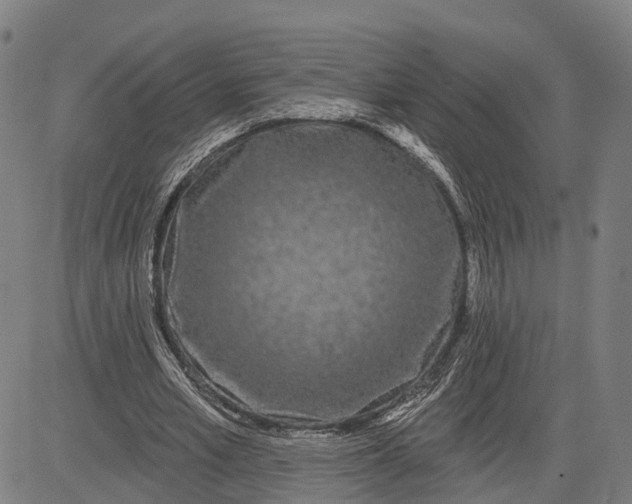 X0000081420581200702021629