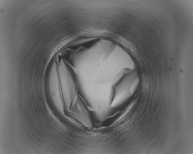 X0000081420582200702021629