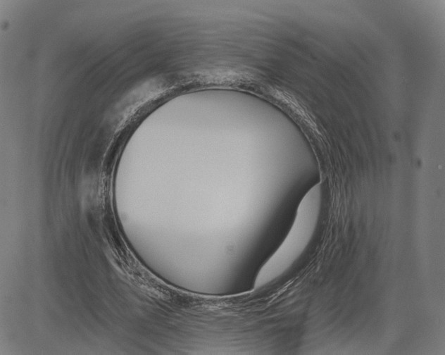 X0000081420583200702021629