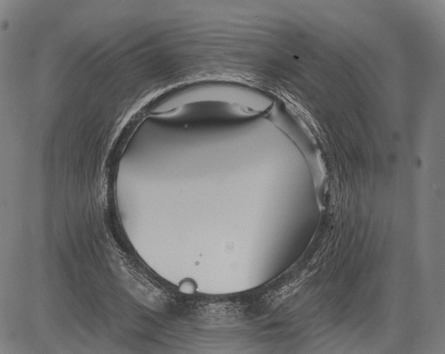 X0000081420584200702021629