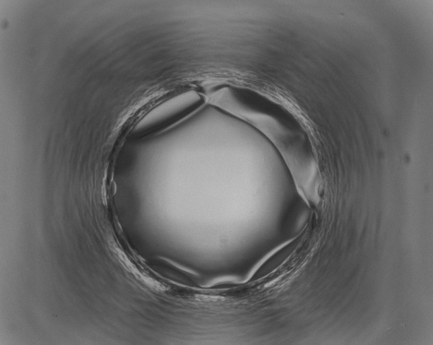 X0000081420585200702021629