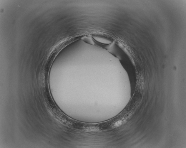 X0000081420587200702021629