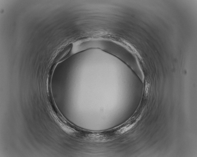 X0000081420589200702021629