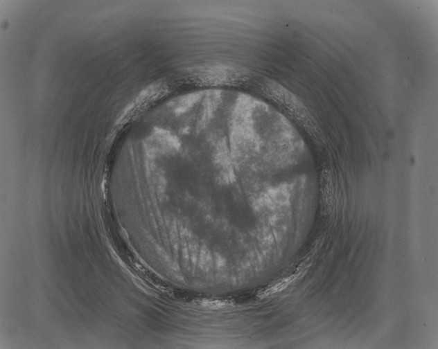 X0000081420590200702021629