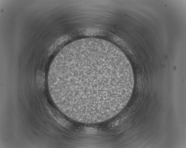 X0000081420592200702021629