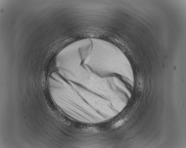 X0000081420594200702021629