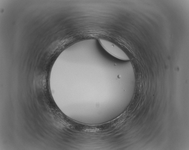 X0000081420595200702021629