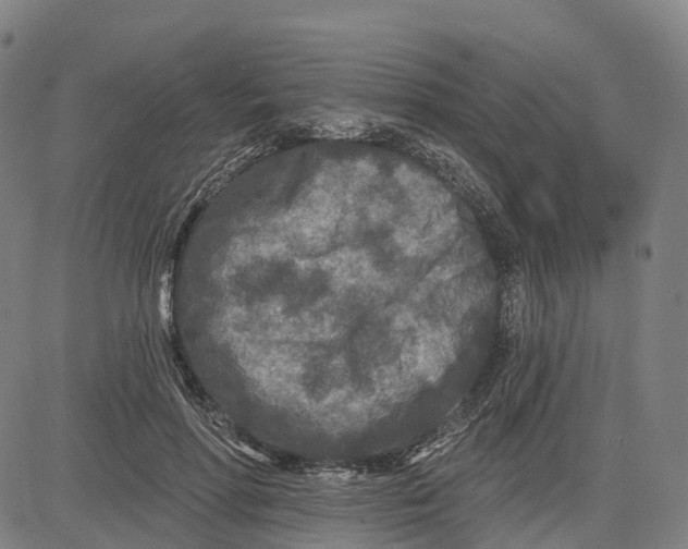 X0000081420598200702021629