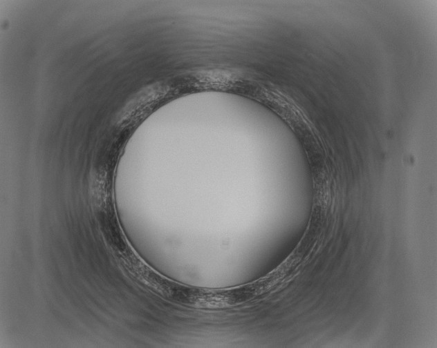 X0000081420599200702021629