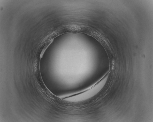 X0000081420600200702021629