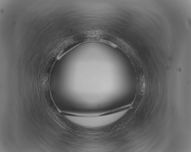 X0000081420601200702021629