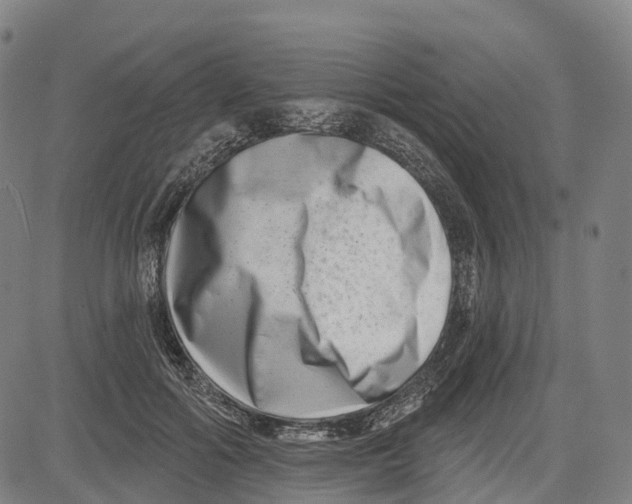 X0000081420602200702021629