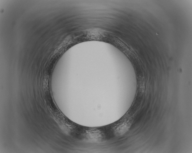 X0000081420603200702021629