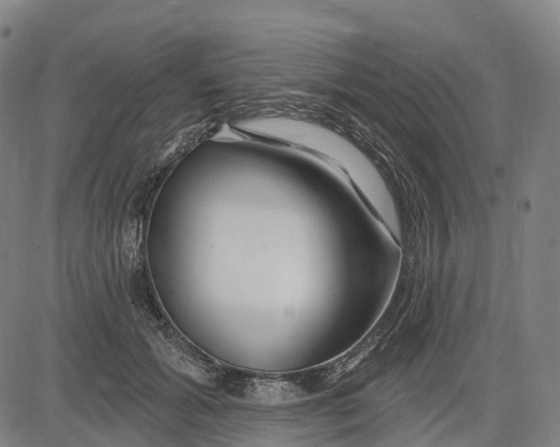 X0000081420605200702021629