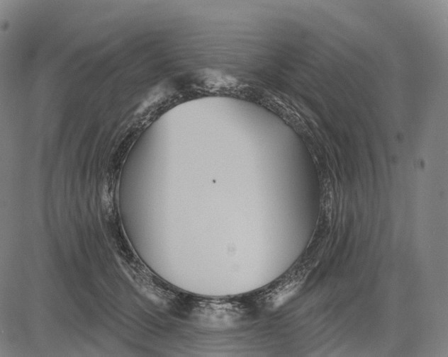 X0000081420607200702021629