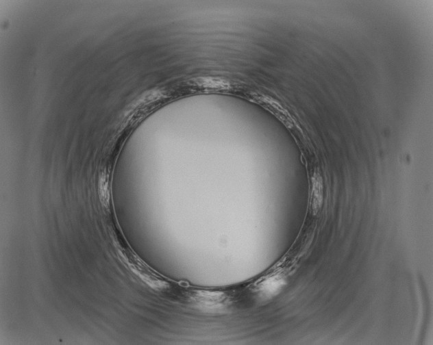 X0000081420609200702021629